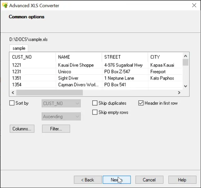 XLS Converter Common options